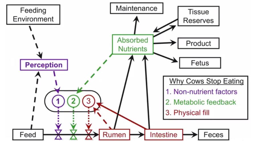 Managing and driving dry matter intake Hubbard Feeds